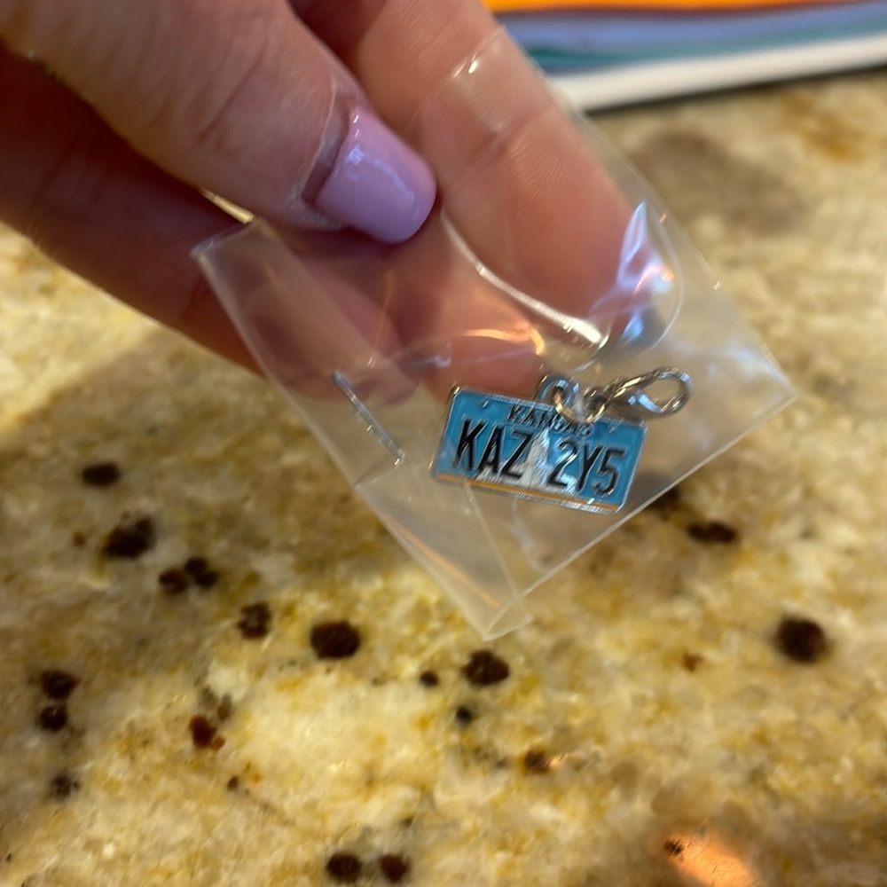 Supernatural License Plate Charm